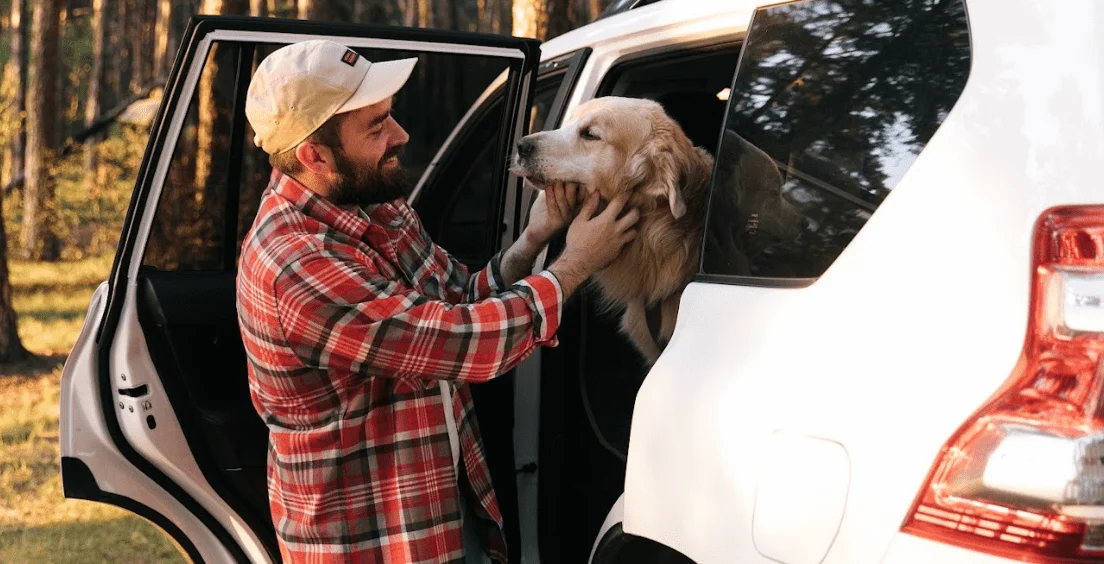 Poodles  Dog Safety Belt for Jeep Renegade